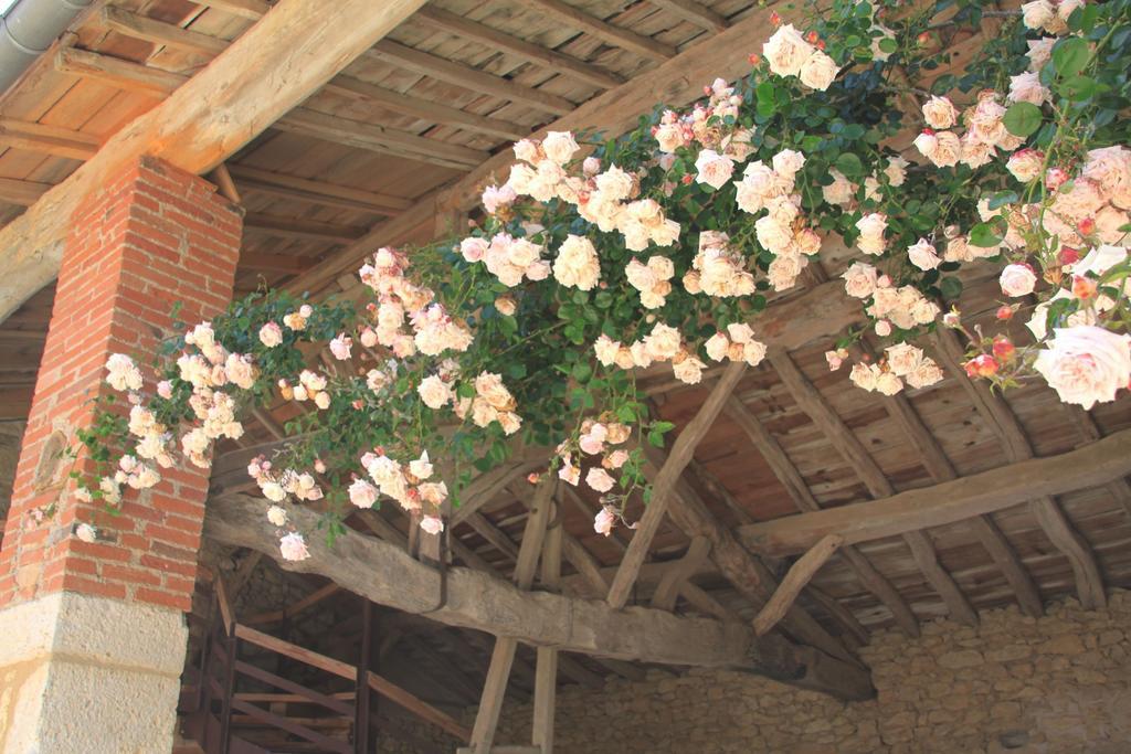Senouillac Chambres D'Hotes Le Val De La Garenne المظهر الخارجي الصورة